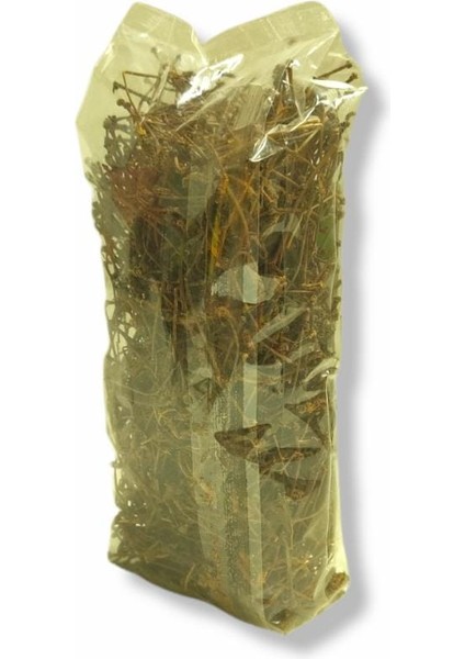 Kiraz Meyvesi Sapı 50 gr fiyatları