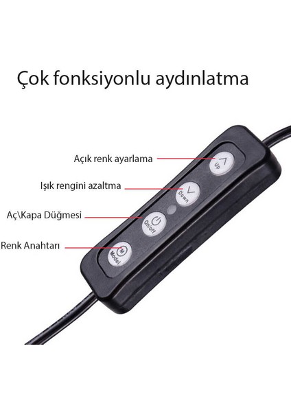 M20 Işıklı Telefon Tutucu Ring Light