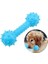 Dikenli Dumbell Diş Kaşıyıcı Köpek Oyuncağı 5X14 cm 1