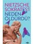 Nietzsche Sokrates’i Neden Öldürdü? 1