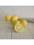 Tüplü Aşılı Çok Tatlı Şeker Limonu Fidanı-Meyve Verme Yaşında 1