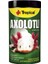 Axolotl Sticks 250ML 135GR 1