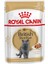 British Shorthair Pouch Kedi Konservesi 12X85 gr 1