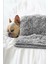 Peluş Kedi-Köpek Yatağı Battaniyesi Evcil Kedi Minderi Yuvası Evi Kulübesi Matı Örtüsü 60 x 90 cm 1