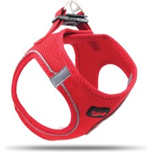 Tailpetz Airmesh Göğüs Tasması Kırmızı  Xl