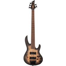 Esp Ltd D-5 Black Natural Burst Satin Bas Gitar
