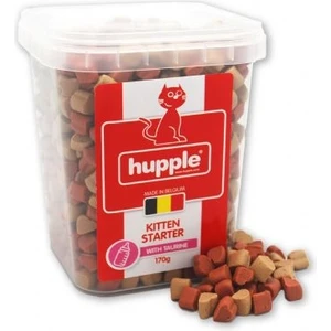 Cat Kıtten Starter 170 gr