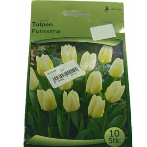 Tulipa - Lale Soğanı