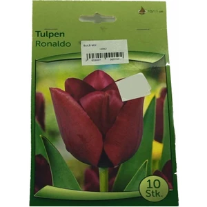 Tulpen - Lale Soğanı