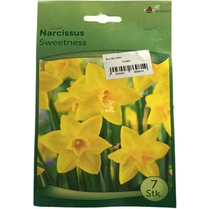 Narcissus - Nergis Soğanı