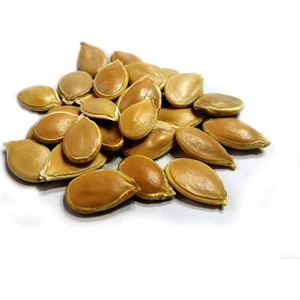 Aktarzane Bal Kabağı Tohumu 100 gr