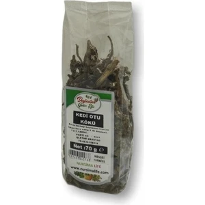 Kedi Otu Kökü 70 gr