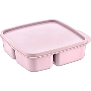 Buse 3 Bölmeli Kare Beslenme Kabı