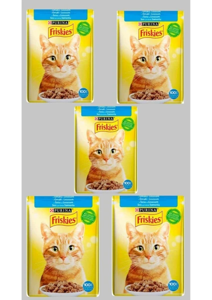 Friskies Somonlu Pouch Yetişkin Kedi Yaş Maması 85 G 5'li Paket