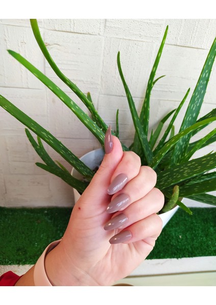 12 Li Kendinden Yapışkanlı Takma Tırnak ( Taş Rengi ) fiyatları