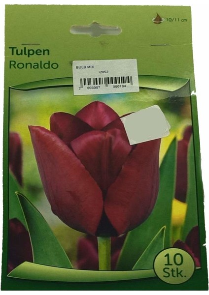 Tulpen - Lale Soğanı
