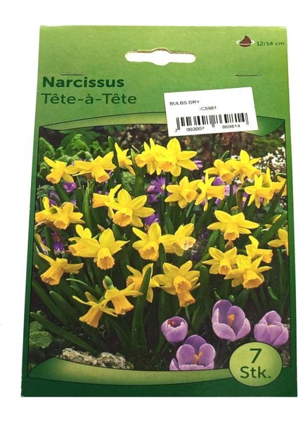 Narcissus - Nergis Soğanı