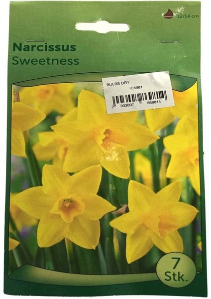 Narcissus - Nergis Soğanı