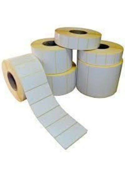 Termal Etiket Eco 100X100 40'lı Kuka 500'LÜ