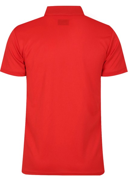 Erkek Polo T-Shirt Brush fiyatları