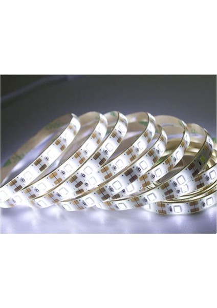 CT-4487 10ç Dış Mekan Beyaz LED Şerit(5 Mt) Cata