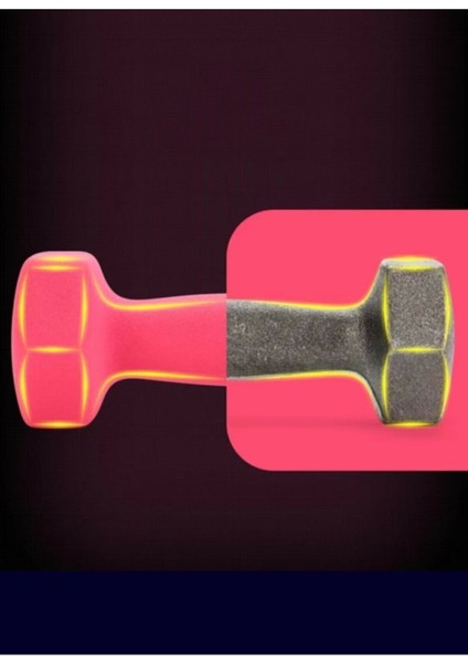 Ithal Fitness Deluxe Neopren Kaplama 2 x 2,5 kg Pembe Dambıl fırsatları