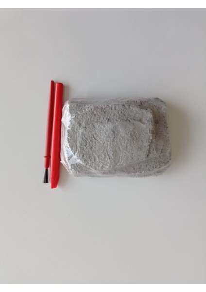 Arkeolojik Kazı Seti Dinazor 3lü