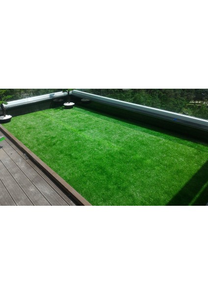 1 kg Meadow 6 Mix Class Çim Tohumu