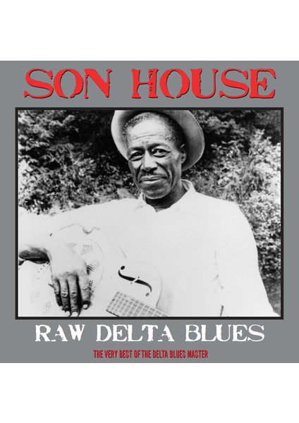 Not Now Raw Delta Blues / The Very Best Of The Delta Blues Master (Plak)