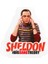 The Big Bang Theory Özel Kesim Sticker Seti 3