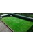 1 kg Meadow 6 Mix Class Çim Tohumu 1