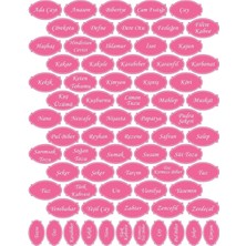 Echo Home Pembe  Baharat Kavanoz Etiketi Sticker 70 Adet
