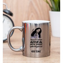 Hediye Dükkanı Kişiye Özel Herkes Delirdi Tasarım Esprili Silver Kupa Bardak