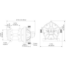 Seaflo Hidrofor Su Pompası 18.90 Lt/dk 24 V 60 Psi