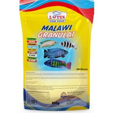 Lotus Malawi Granulat Ciklet Protein 860 G Akvaryum Balık Yemi + 30 gr + 30 gr