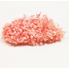 Hobizubi Kurutulmuş Çiçek - Pudra Pembesi