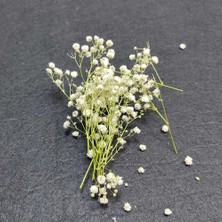 Hobizubi Kurutulmuş Çiçek - Mini Demet