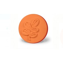 Dekor Duvar Damga Seti Defne Yaprağı 1599