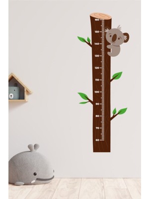 Echo Home Çocuk Odası Ağaçta Koala Temalı Boy Ölçüm Cetveli Duvar Sticker