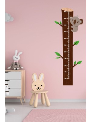 Echo Home Çocuk Odası Ağaçta Koala Temalı Boy Ölçüm Cetveli Duvar Sticker