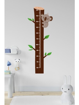 Echo Home Çocuk Odası Ağaçta Koala Temalı Boy Ölçüm Cetveli Duvar Sticker