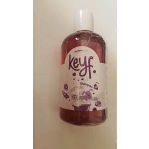 Köpek ve Kediler Için Orman Meyve Kokulu Şampuan 250 ml