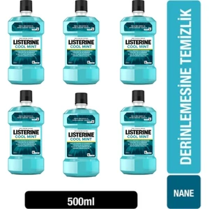 Cool Mınt 500ML 6ADET