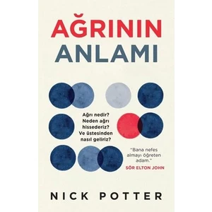 Ağrının Anlamı - Nick Potter