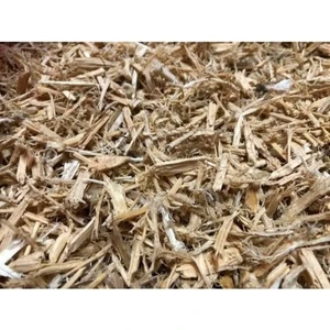 Master Cips Doğal Reçineli Yuvalık ve Kafes Altlığı 60 lt