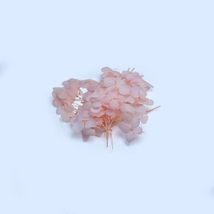 Kurutulmuş Çiçek - Somon