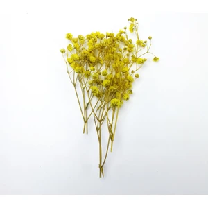 Kurutulmuş Çiçek-Sarı - Mini Demet