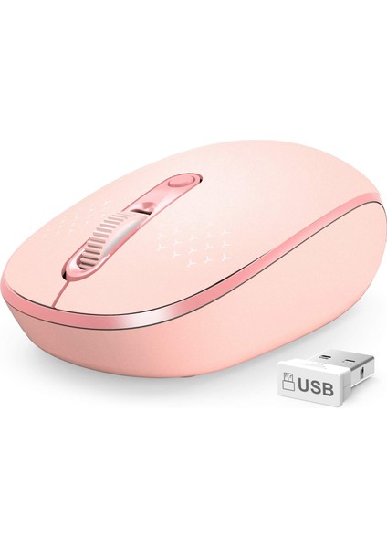 Kablosuz USB Alıcılı 2.4G Gürültüsüz Fare (Yurt Dışından)