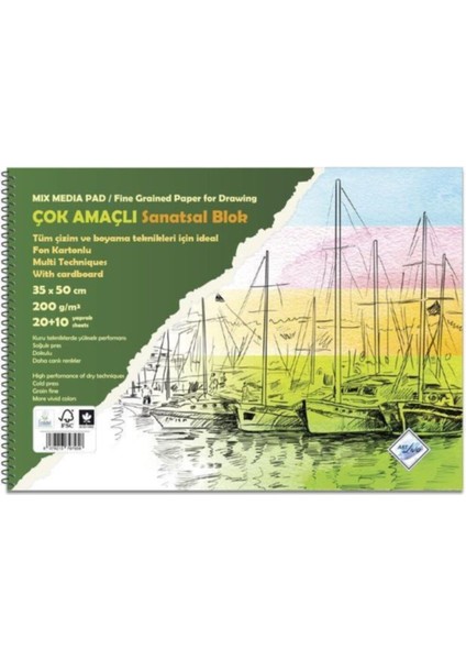 Art Liva Çok Amaçlı Sanatsal Blok Fon Kartonlu 20 + 10 Yaprak 35 x 50 cm 200 Gram