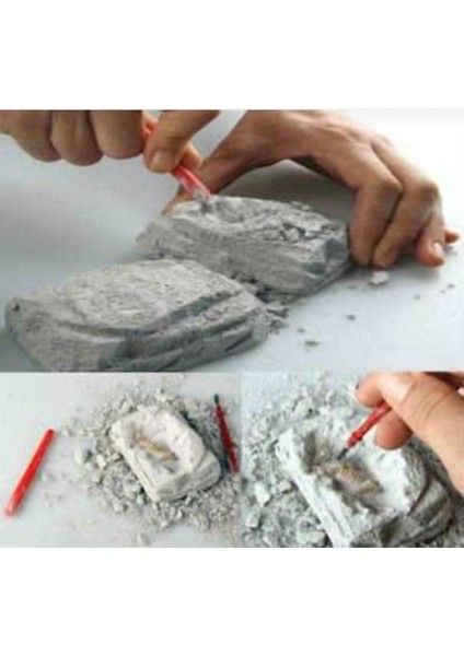 Üçlü Sürpriz Eğitici Oyuncak Arkeolojik Bilim Macera Kazı Seti.. fırsatları